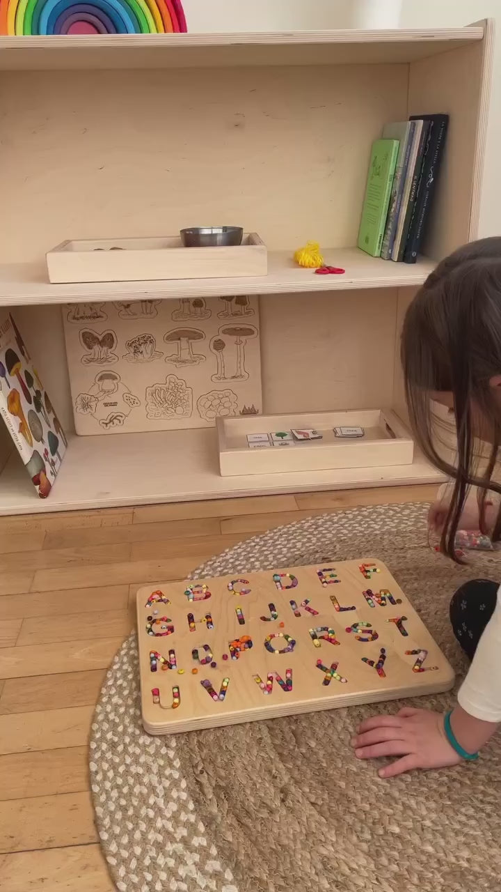 Montessori Maxi Bookcase 