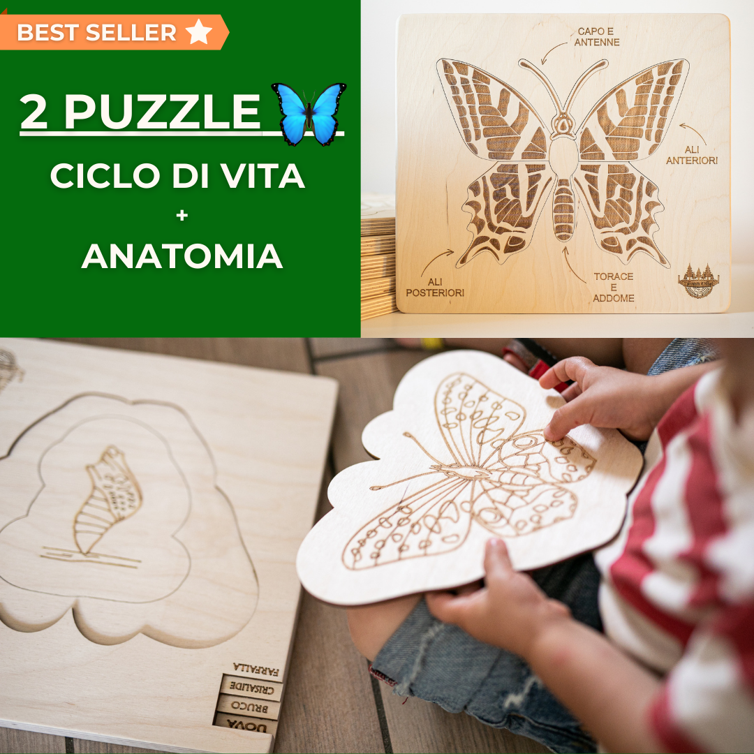 Coppia di Puzzle Farfalla: Anatomia + Ciclo di Vita